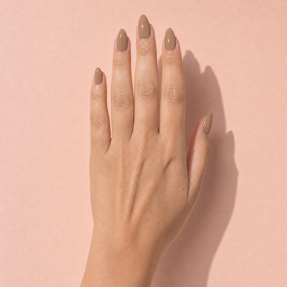The Signature Solids in Camel