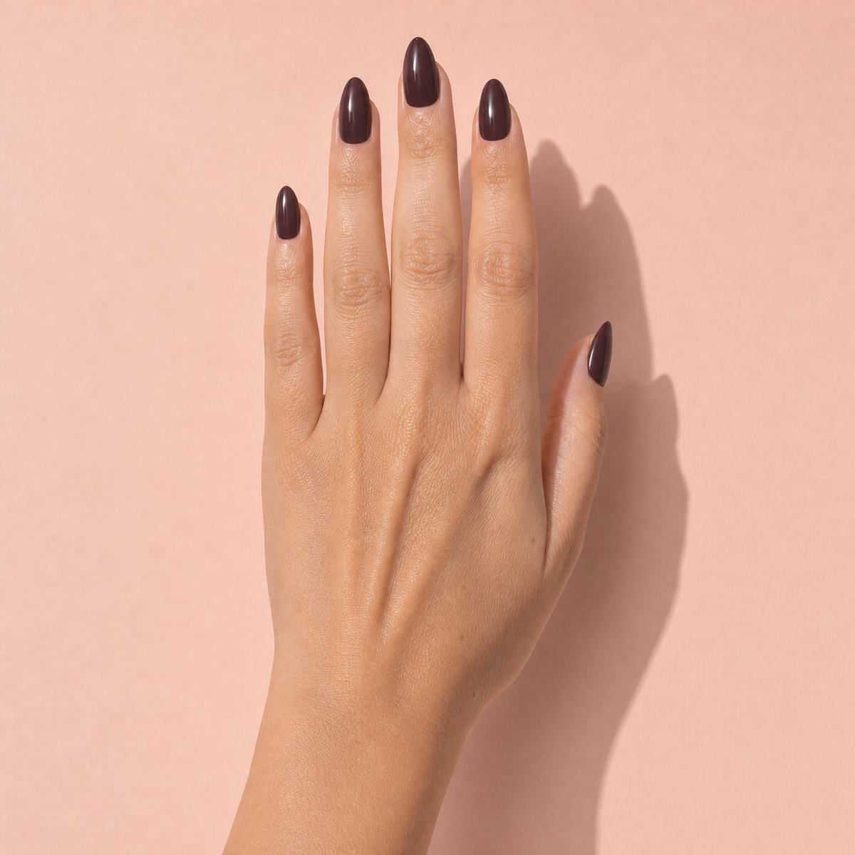 The Signature Solids in Espresso