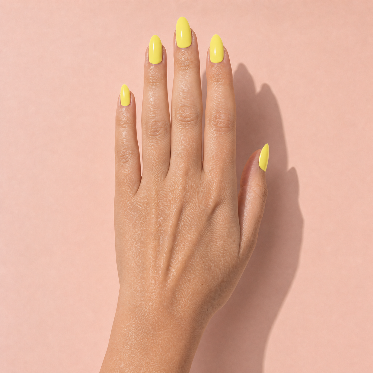 The Signature Solids in Lemon Sorbet