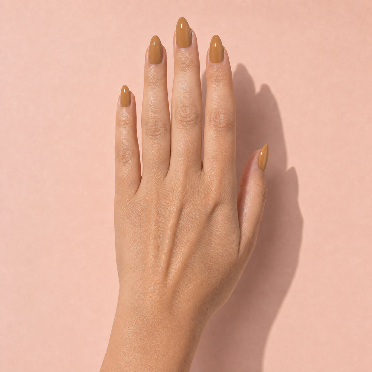 The Signature Solids in Mustard