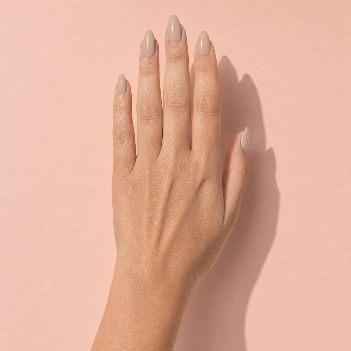 The Signature Solids in Muted Sand