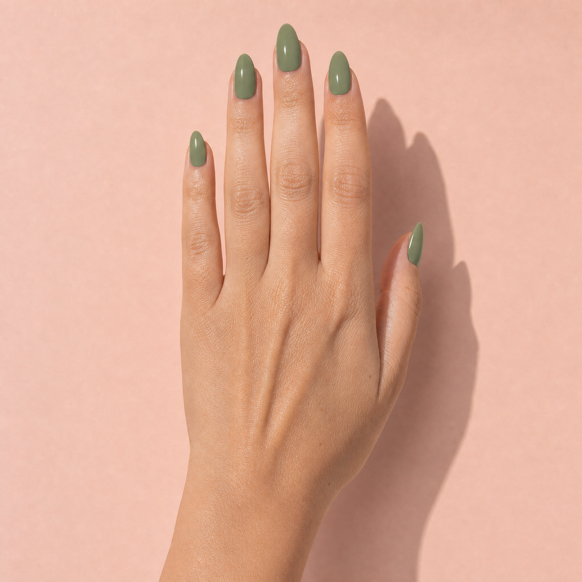 The Signature Solids in Olive Sage