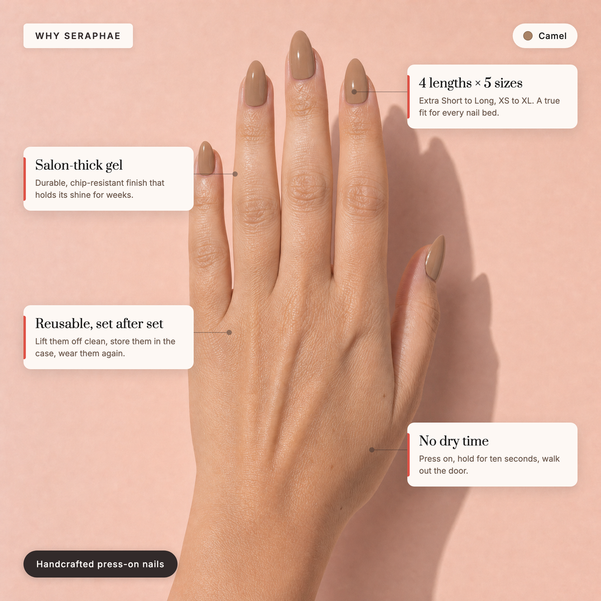 The Signature Solids — Camel