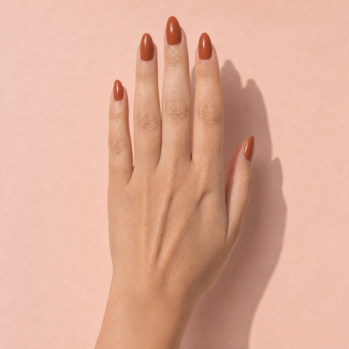 The Signature Solids in Sienna