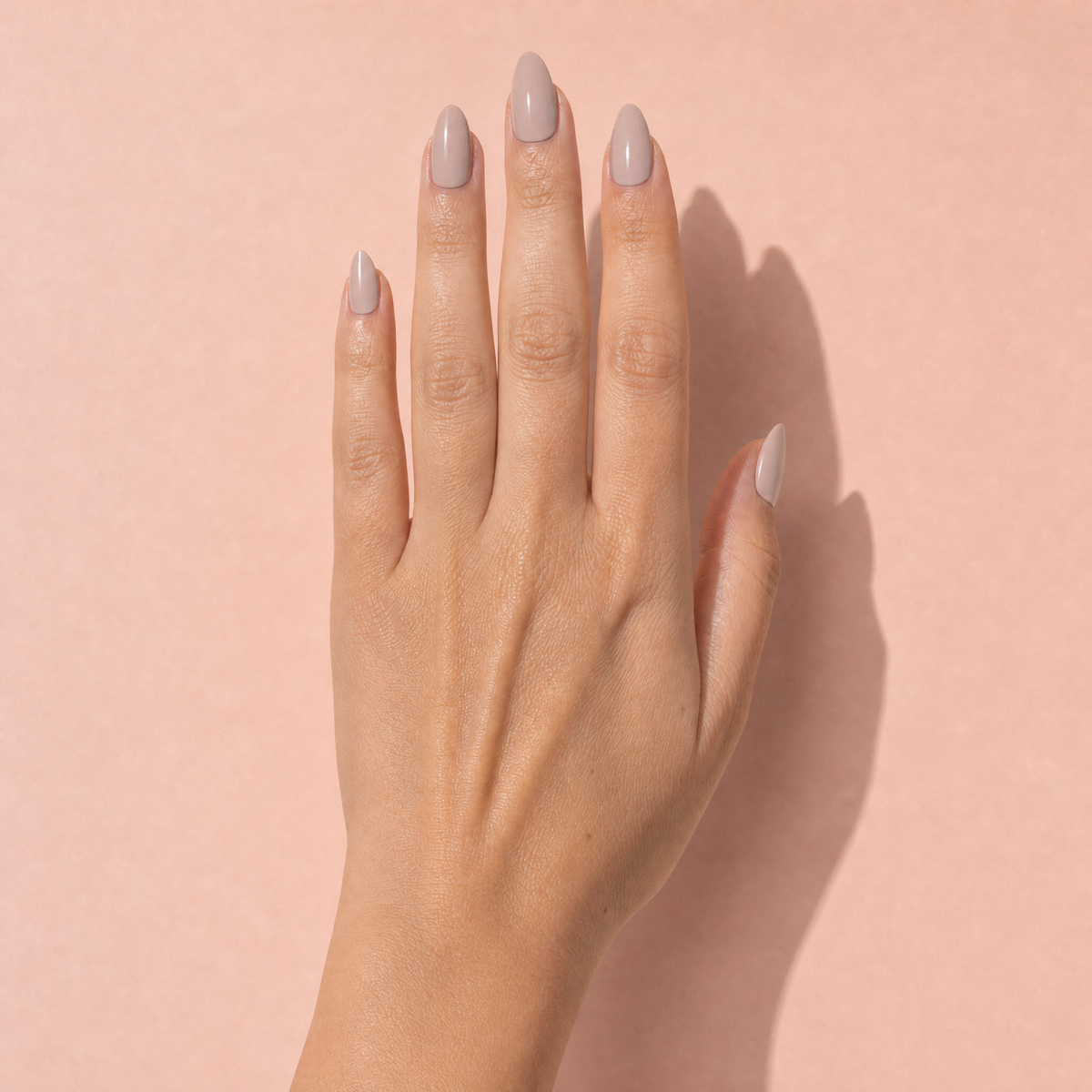The Signature Solids in Alabaster
