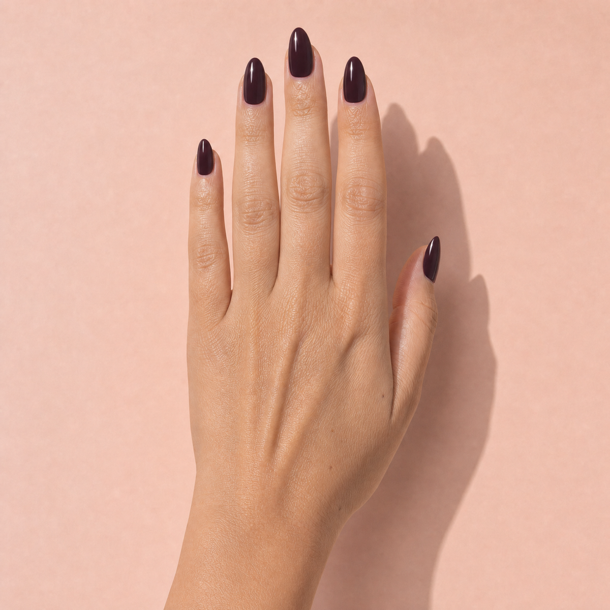 The Signature Solids in Black Cherry