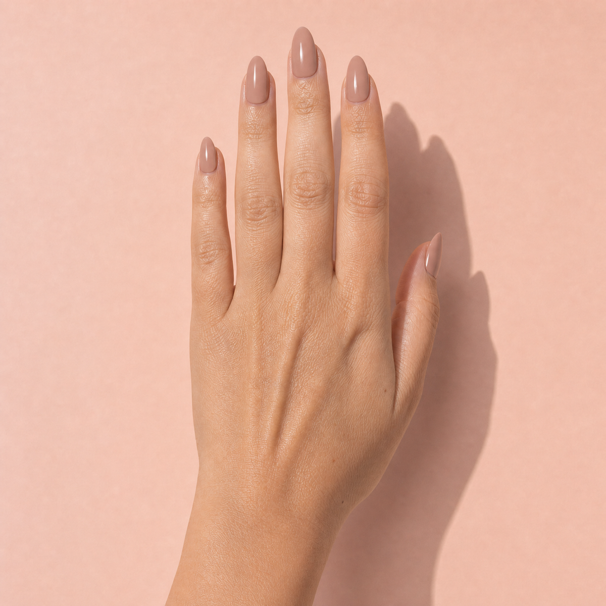 The Signature Solids in Cashmere