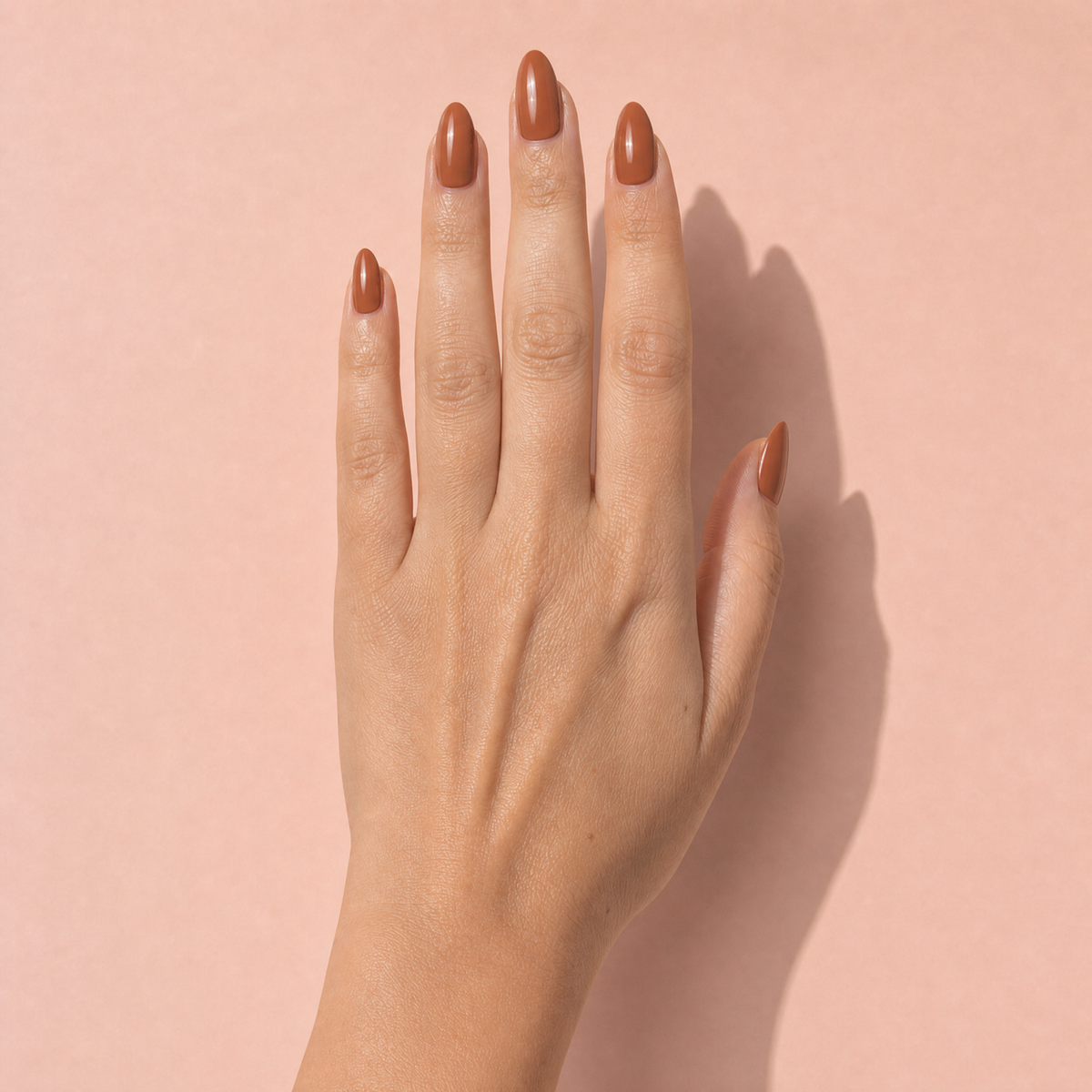 The Signature Solids in Chestnut
