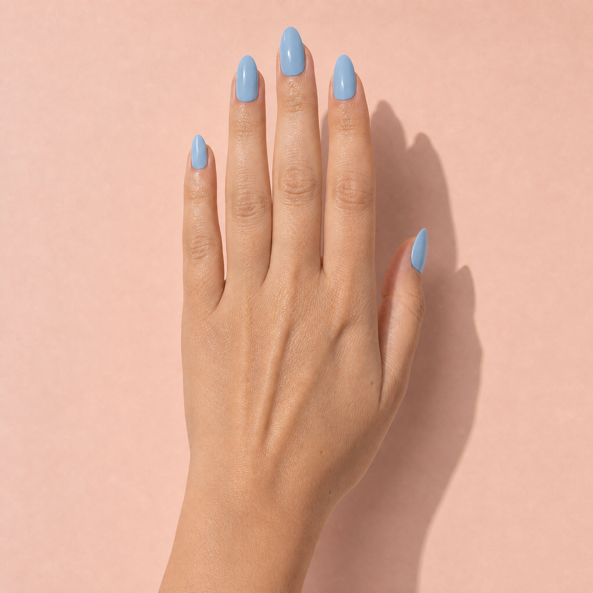 The Signature Solids in Cornflower