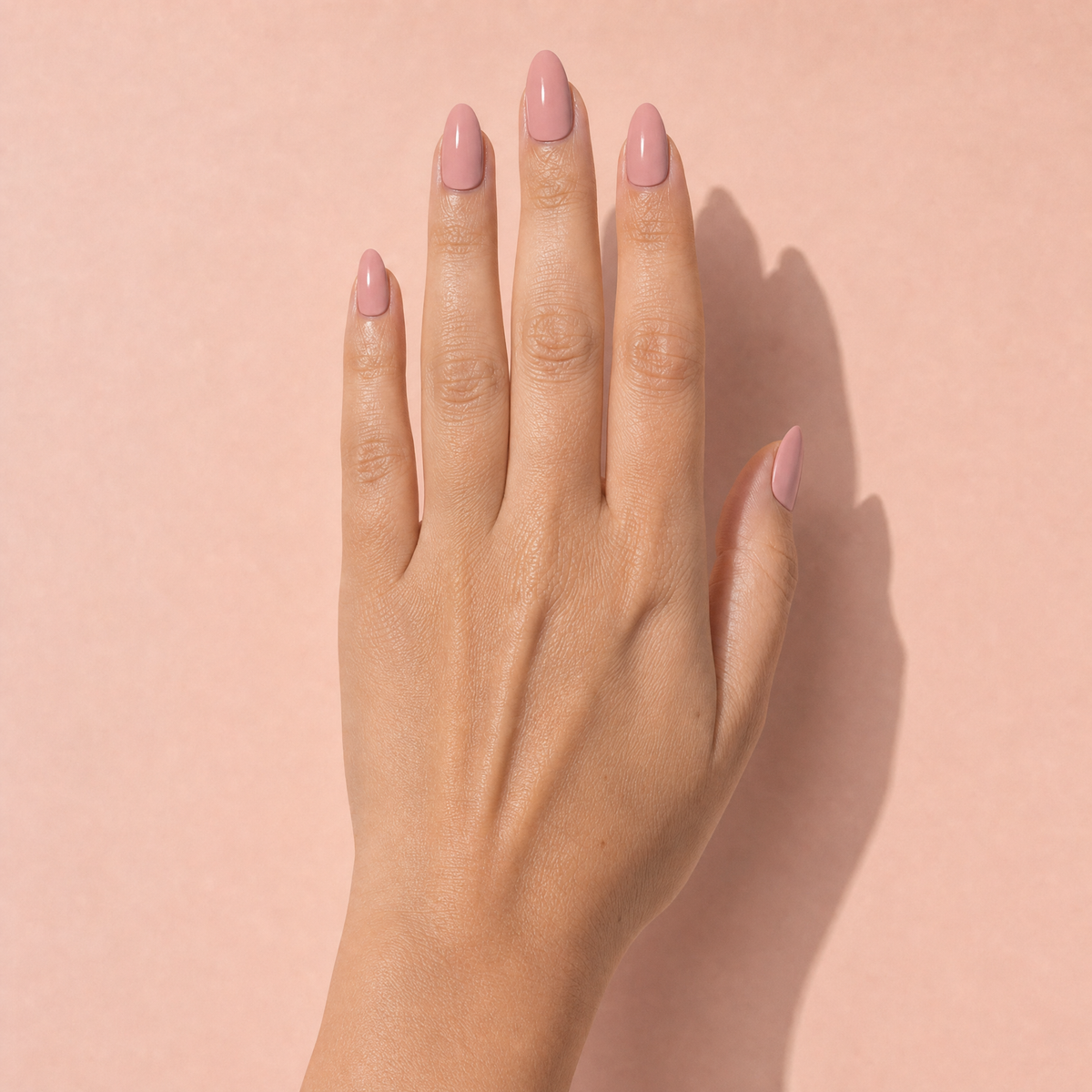 The Signature Solids in Dusty Rose