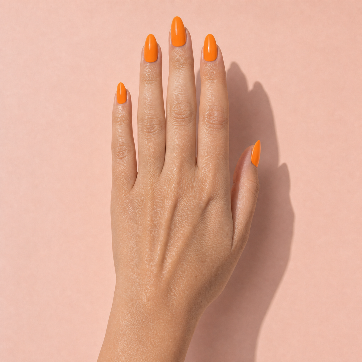 The Signature Solids in Marigold