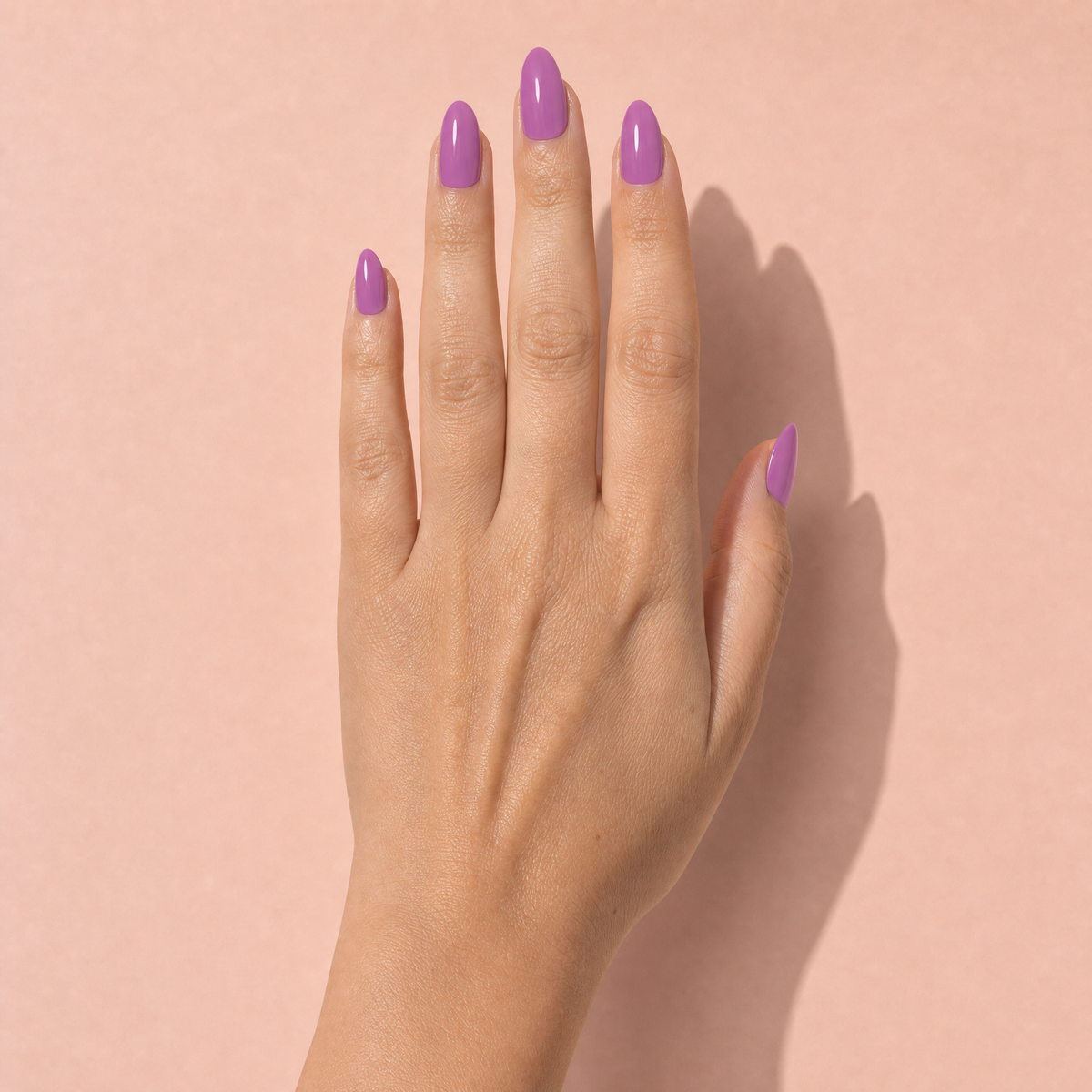 The Signature Solids in Orchid