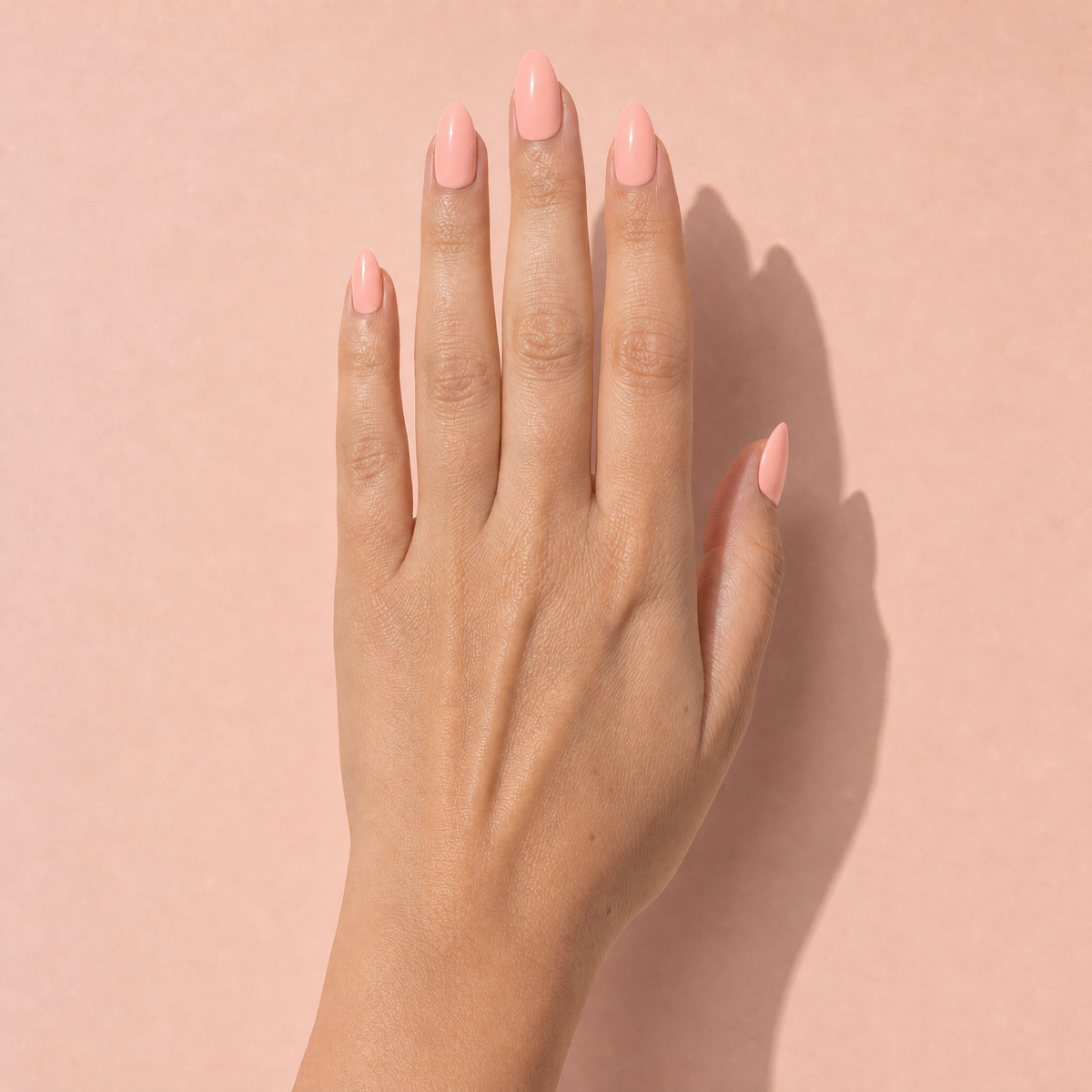 The Signature Solids in Peach Bellini