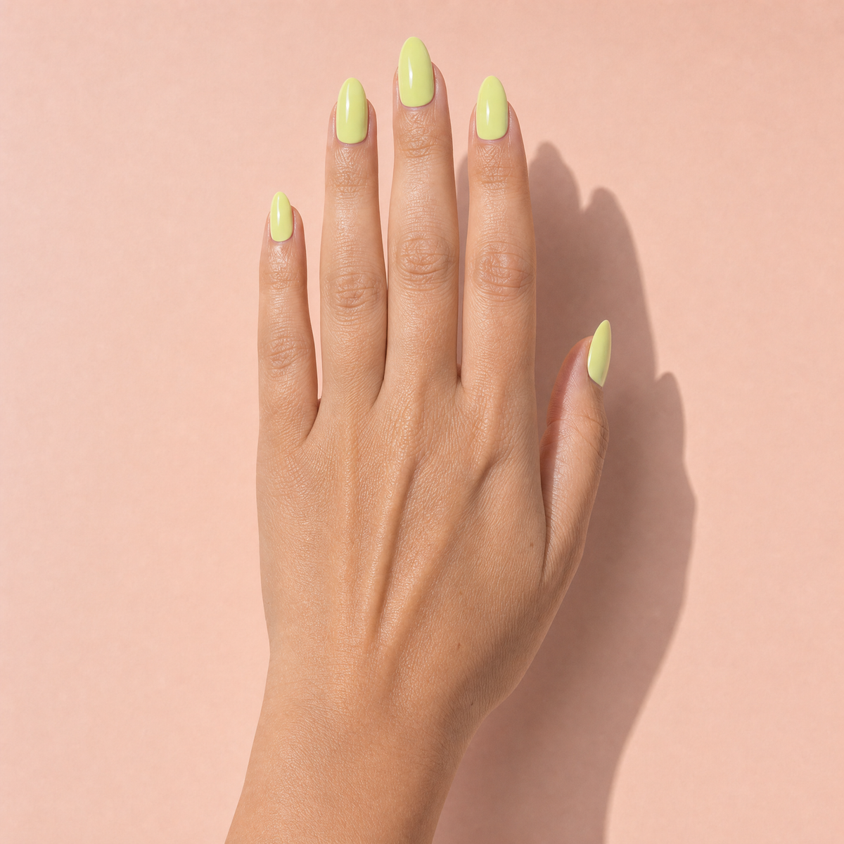 The Signature Solids in Pistachio
