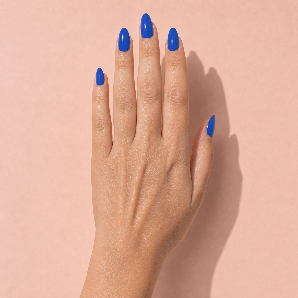 The Signature Solids in Royal Blue